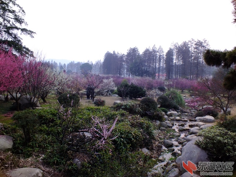 DSCF2324_调整大小.JPG