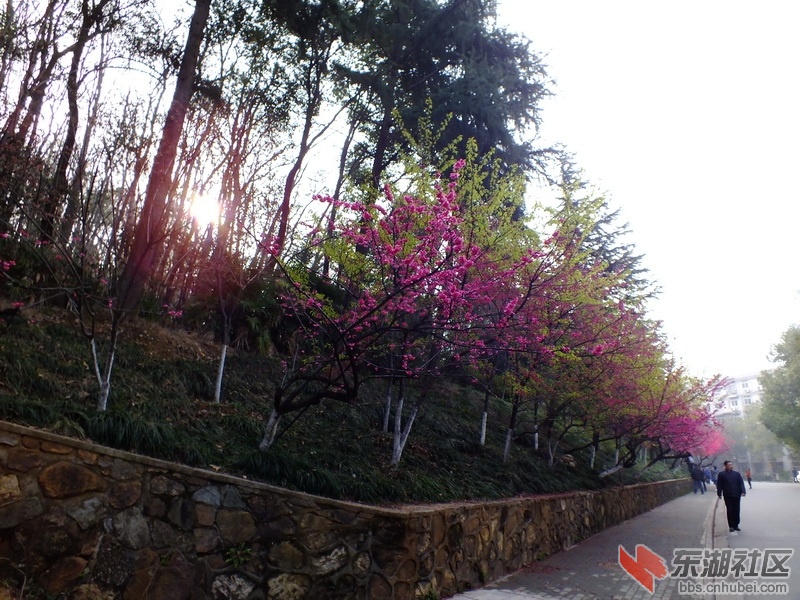 DSCF2348_调整大小.JPG