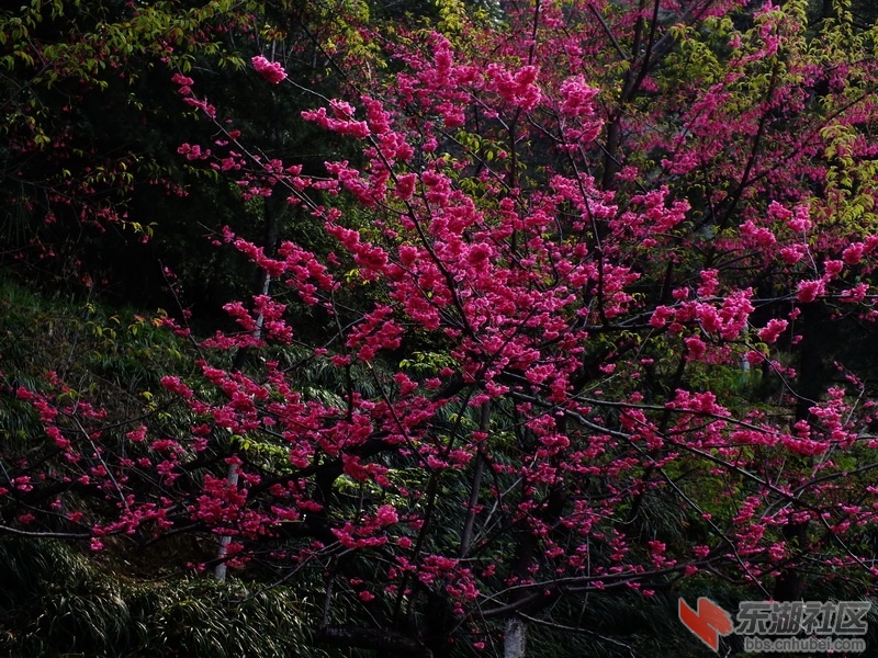 DSCF2542_调整大小.JPG