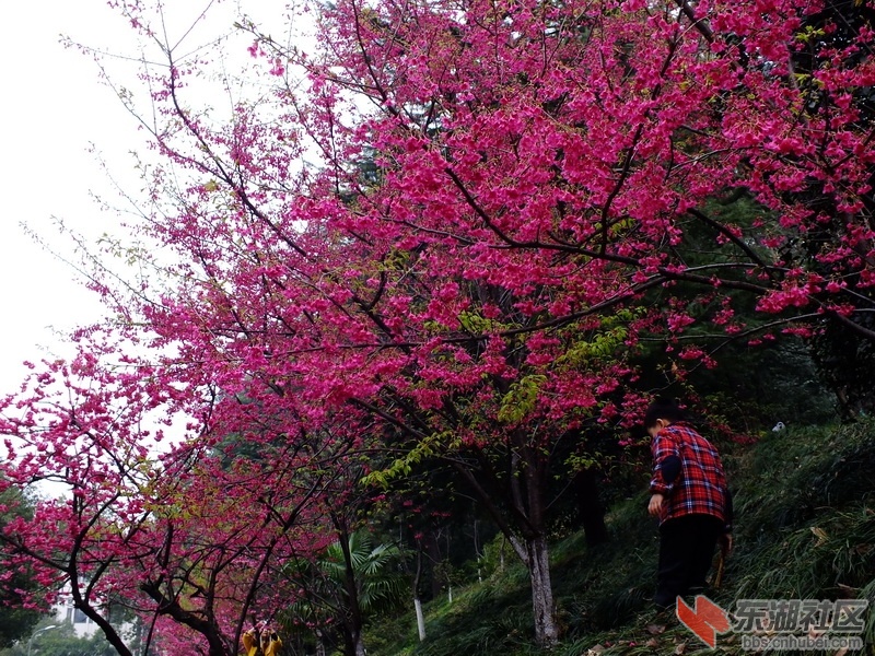 DSCF2632_调整大小.JPG