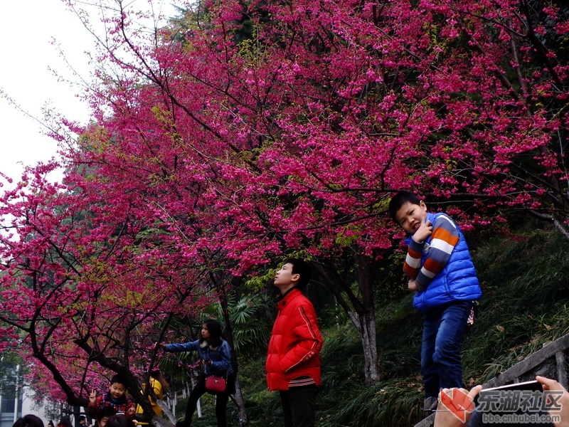 DSCF2636_调整大小.JPG