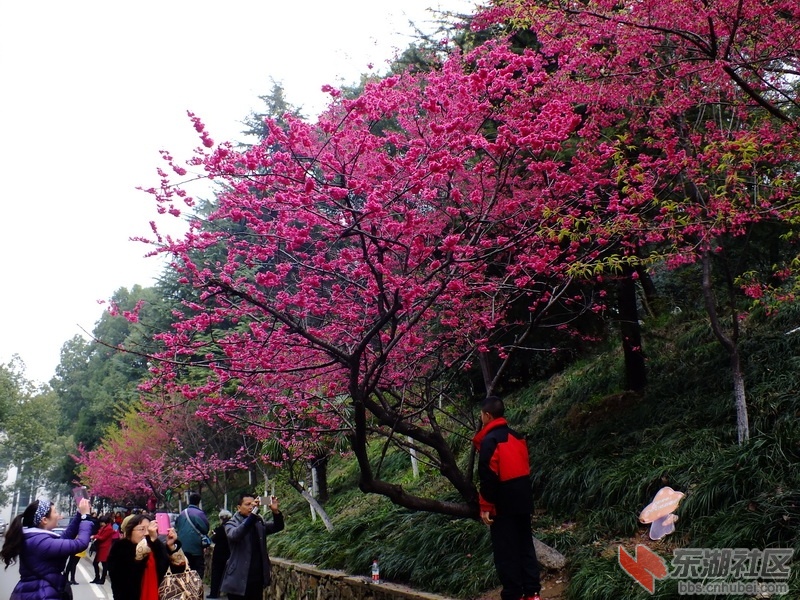DSCF2671_调整大小.JPG