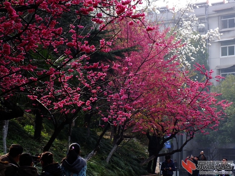 DSCF2768_调整大小.JPG