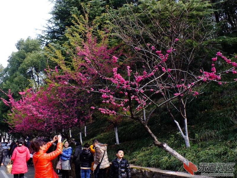 DSCF2796_调整大小.JPG