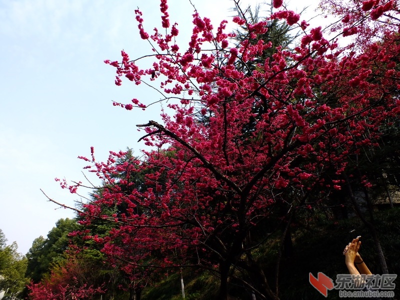 DSCF2845_调整大小.JPG