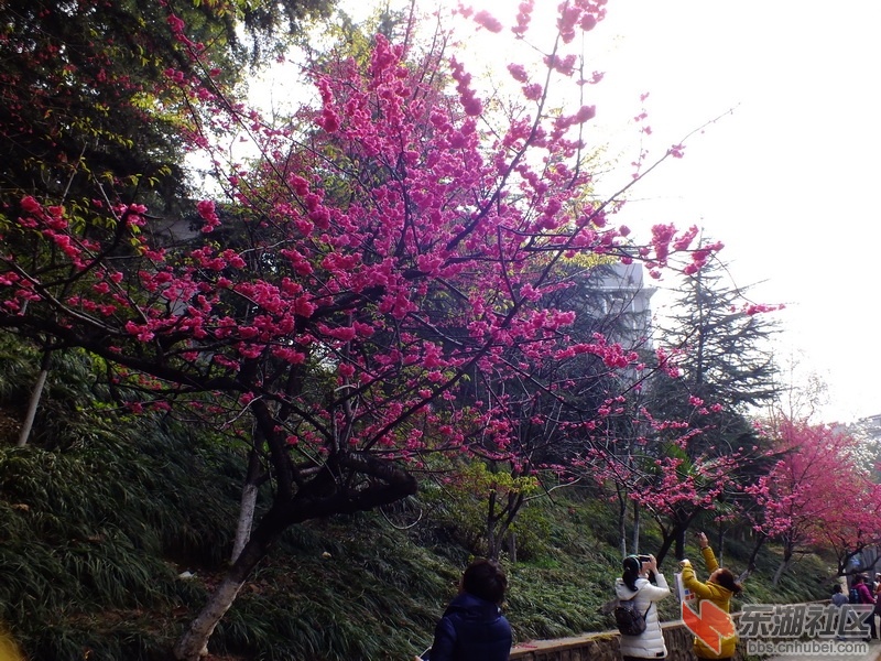DSCF2885_调整大小.JPG