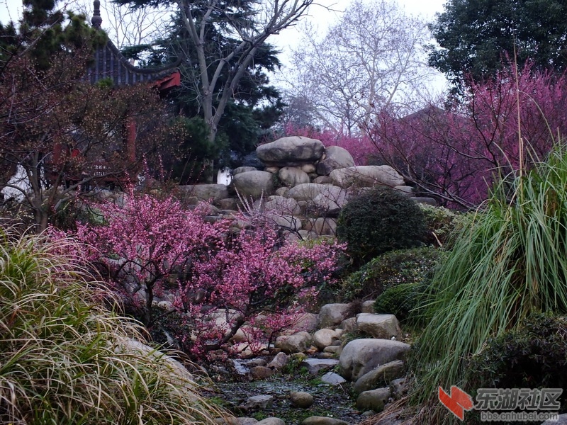 DSCF2321_调整大小.JPG