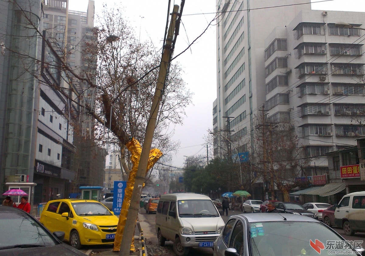 IMAG0595_副本.jpg