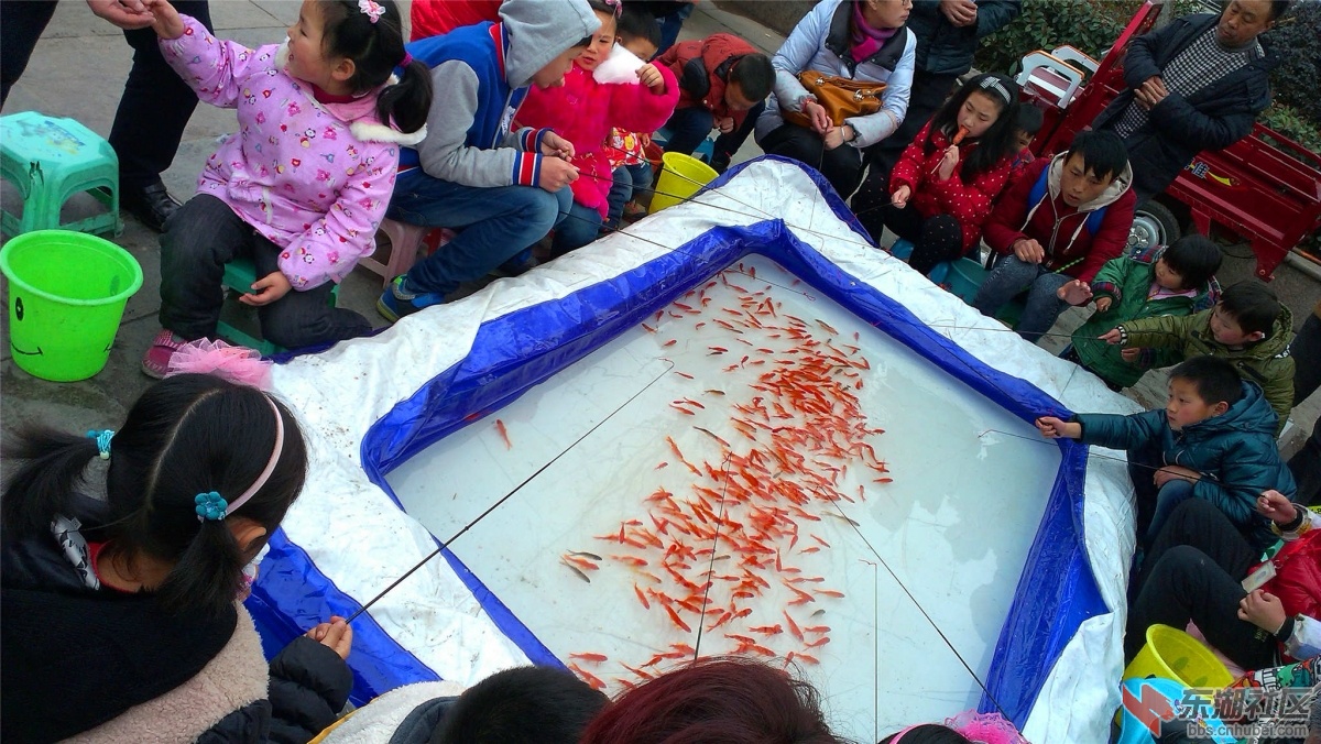IMAG0641.jpg
