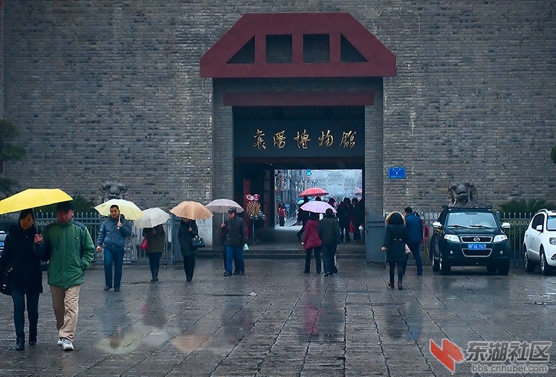 春雨.jpg