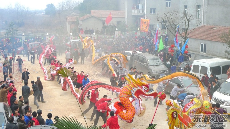 hd玩龙灯.jpg