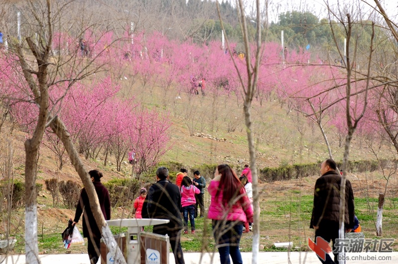 DSC00763_副本.jpg