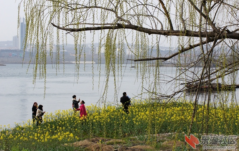 DSC00768_副本.jpg