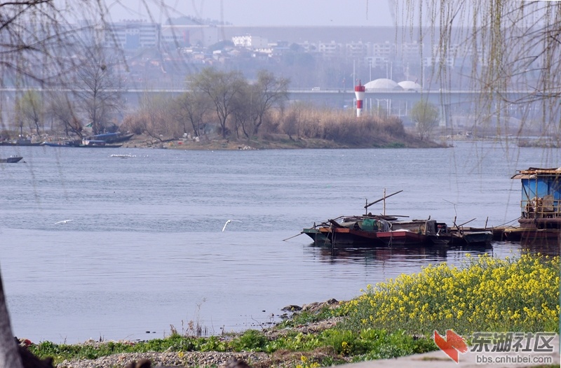DSC00772_副本.jpg