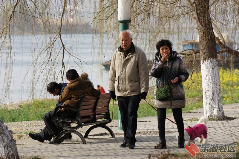 DSC00775_副本.jpg