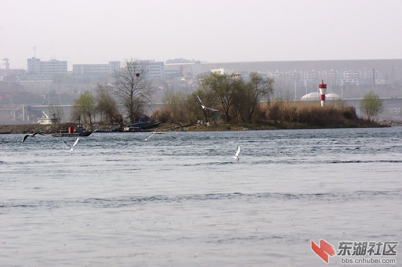 DSC00779_副本.jpg