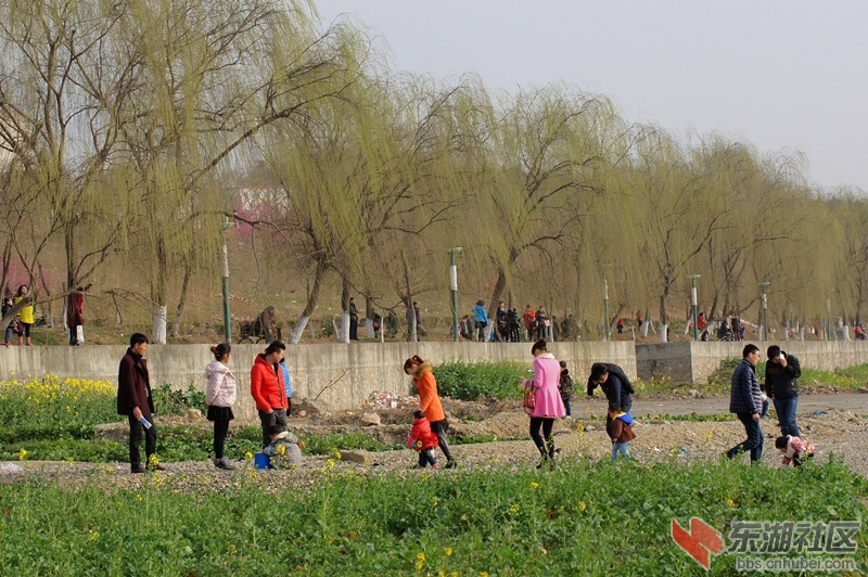 DSC00787_副本.jpg
