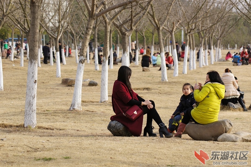 DSC00794_副本.jpg