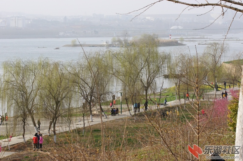 DSC00795_副本.jpg