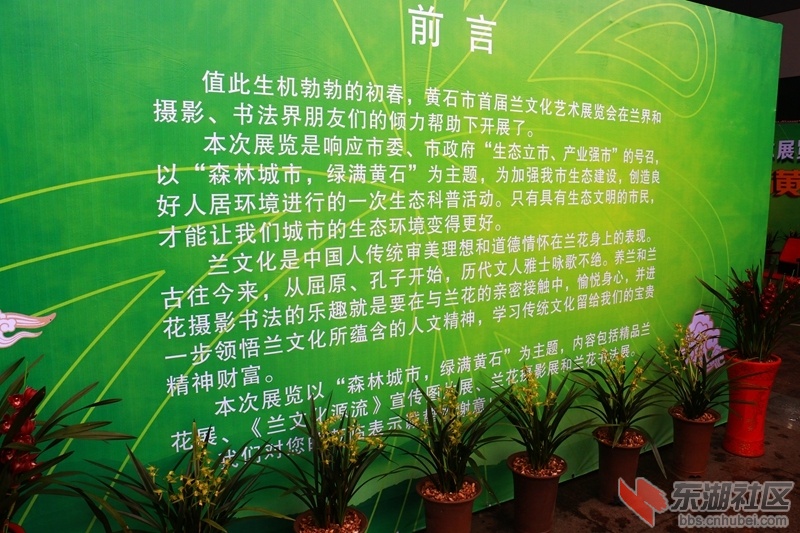 126.jpg