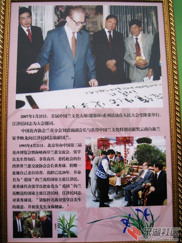 04.jpg