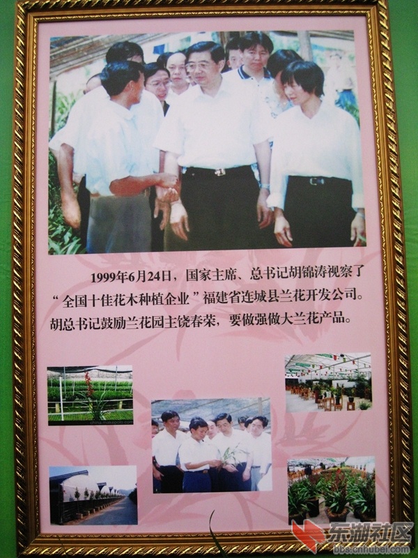 05.jpg