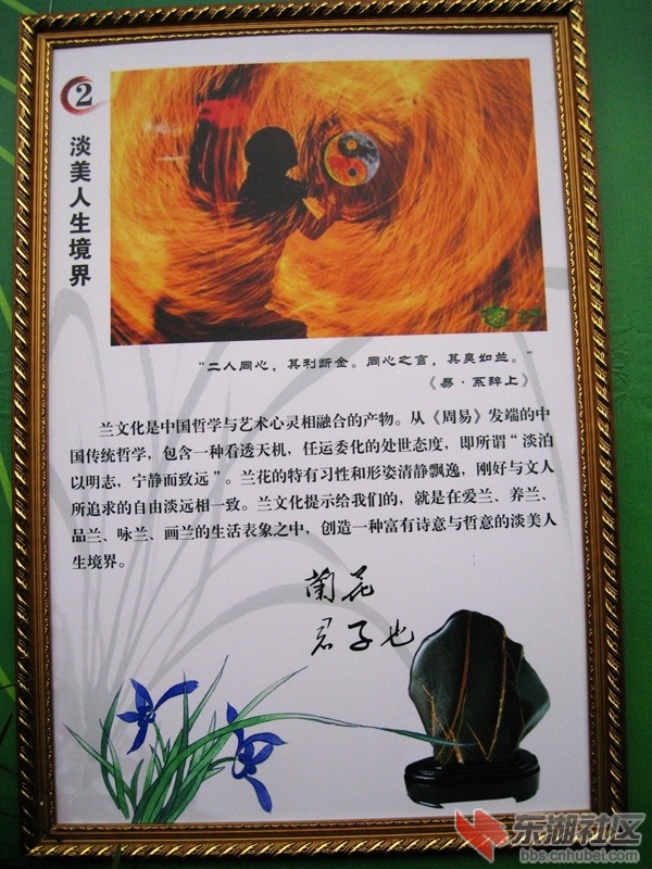 07.jpg