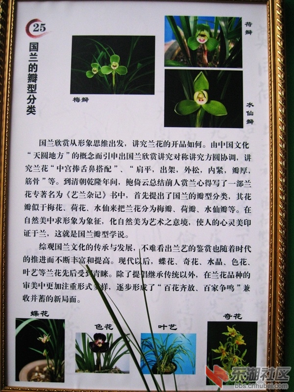 08.jpg