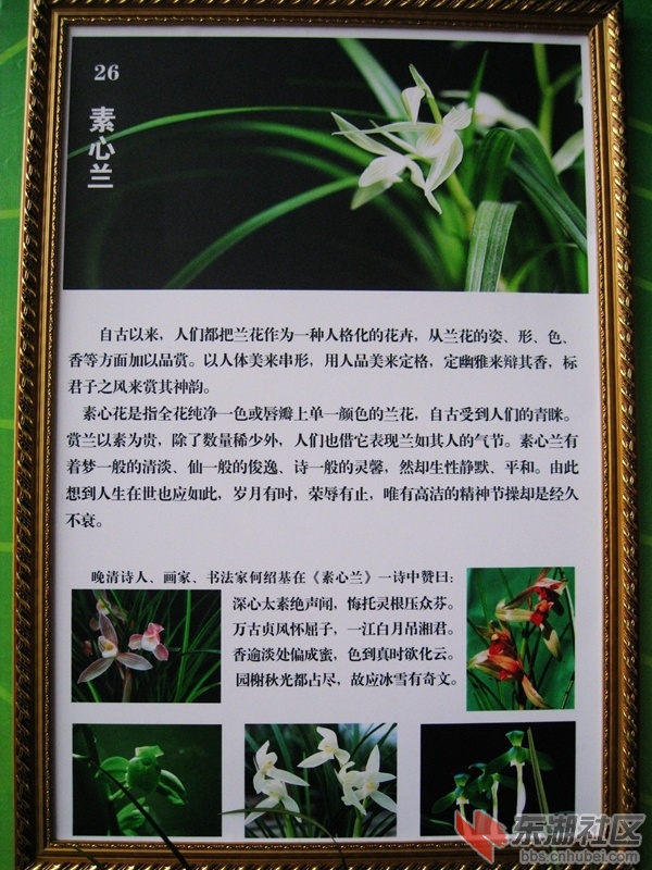 09.jpg