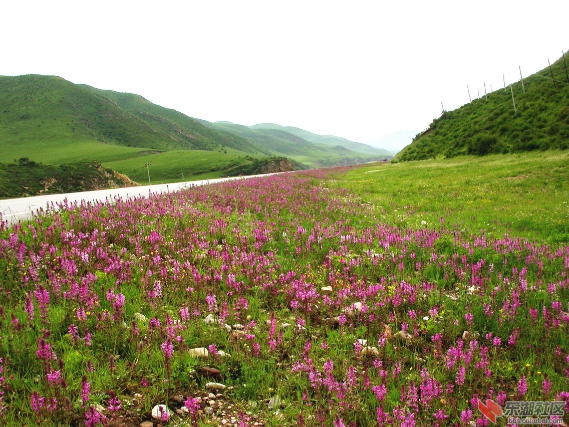 花湖.jpg