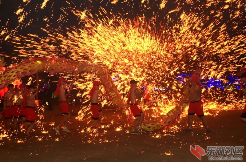 F63A9217_调整大小.JPG
