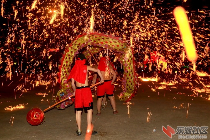 F63A9238_调整大小.JPG