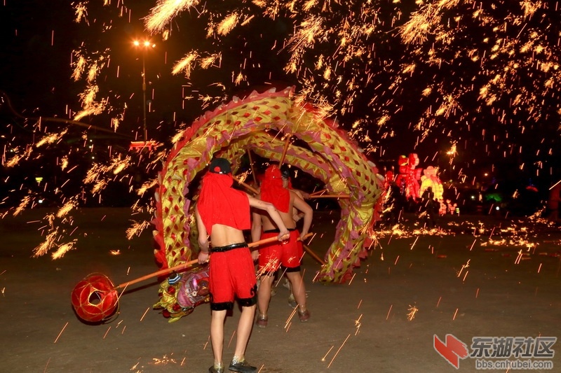 F63A9239_调整大小.JPG