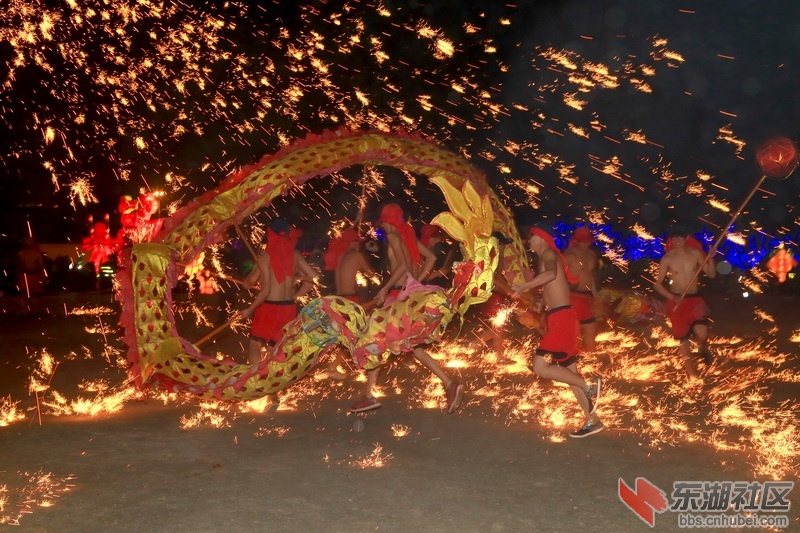 F63A9245_调整大小.JPG