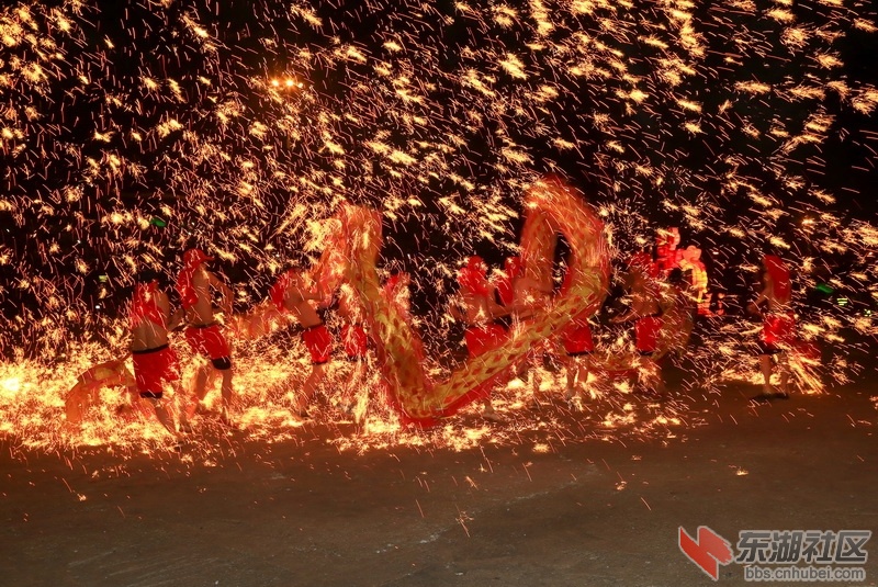 F63A9255-1_调整大小.jpg