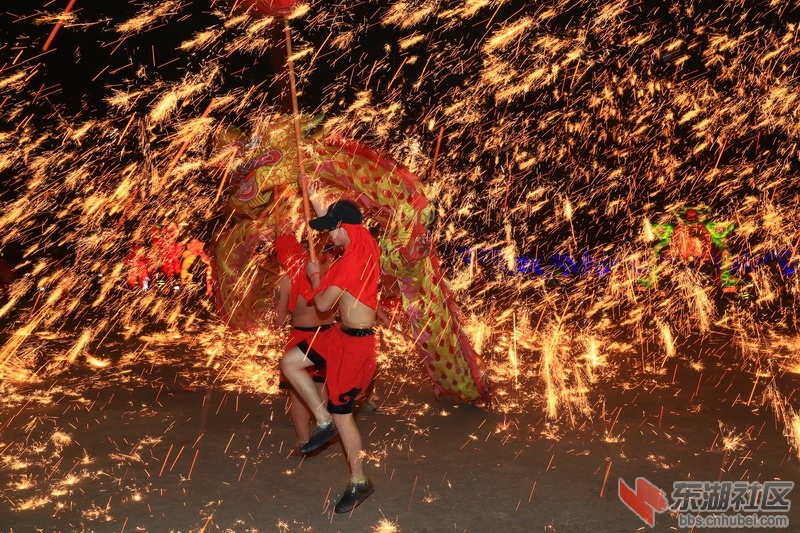 F63A9261_调整大小.JPG