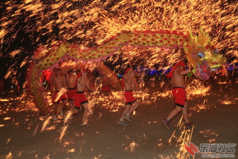 F63A9263_调整大小.JPG