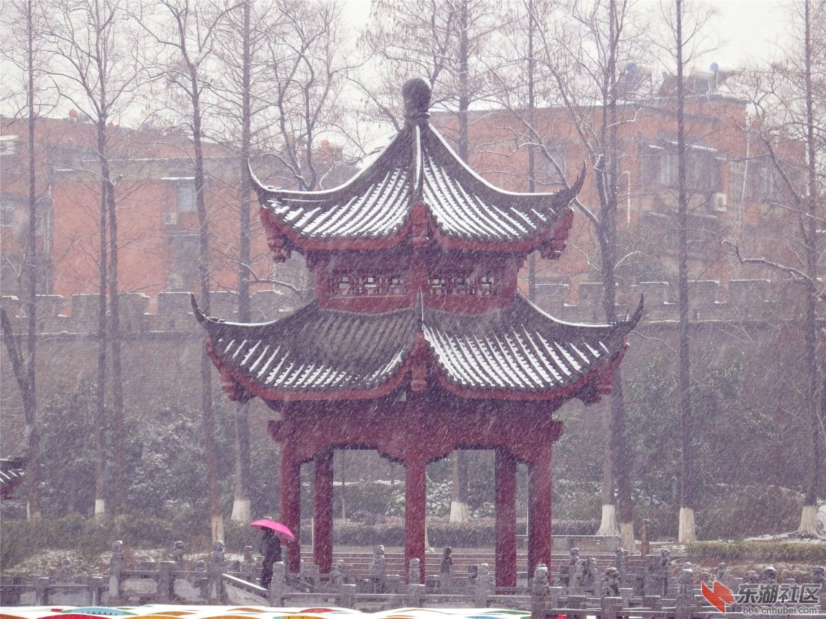 DSCF1668_副本.jpg