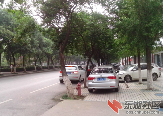 这些违章了吗？人行道上天天有车堵在哪里。