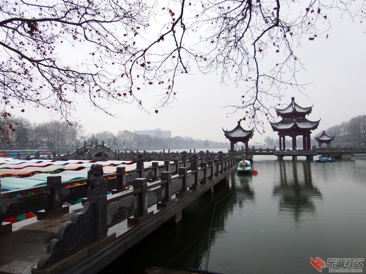 DSCF1707_副本.jpg