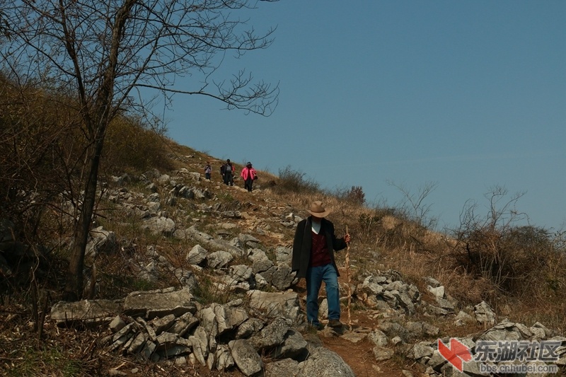 050.jpg