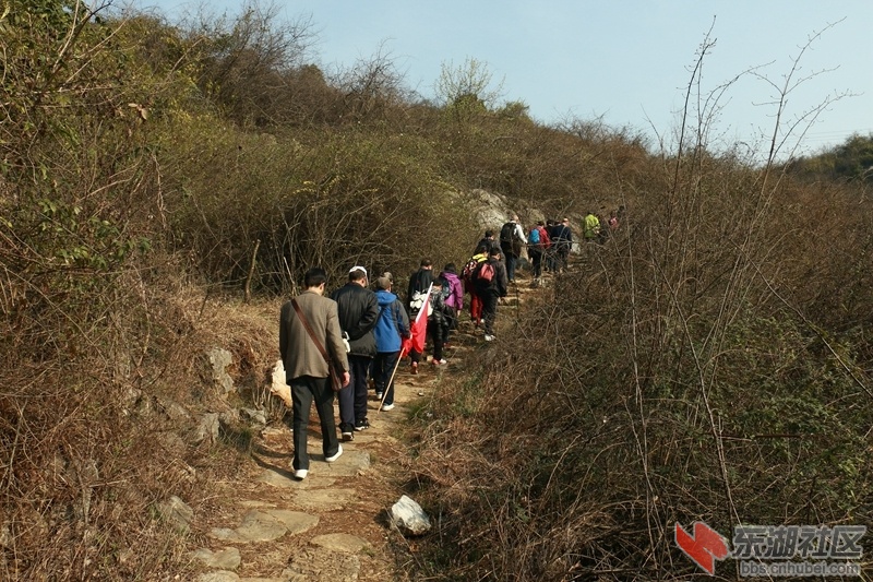 136.jpg