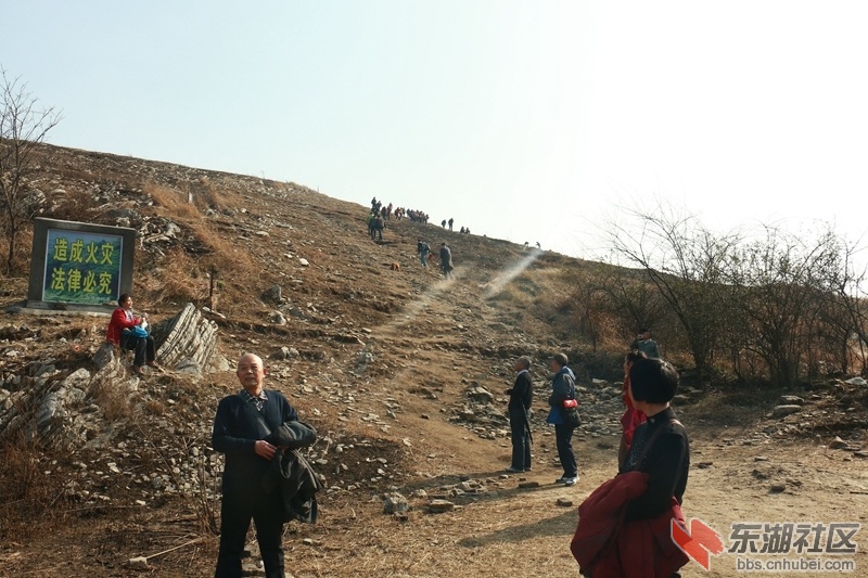 149.jpg