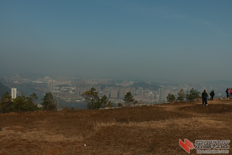 181.jpg