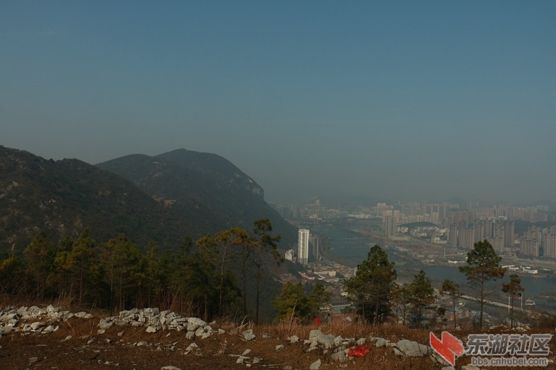 201.jpg