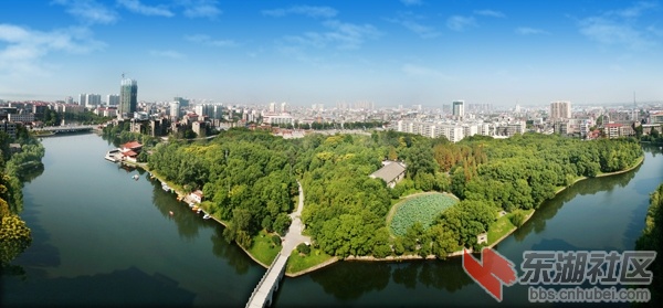 Y-15021601.jpg