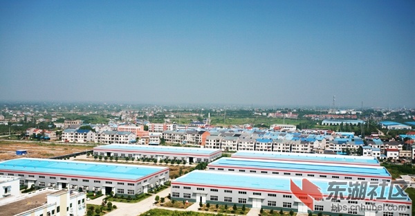 Y-15021607.jpg