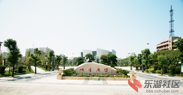 Y-15021608.jpg