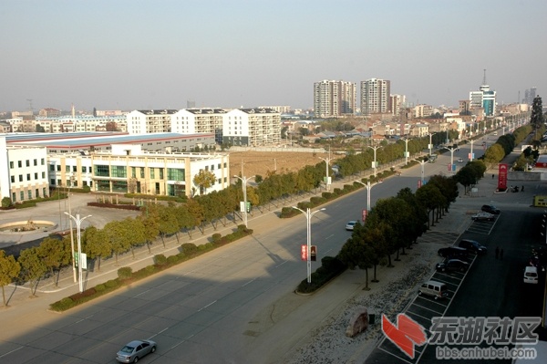 Y-150216011.JPG