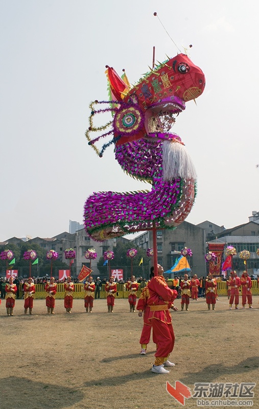 IMG_2458.jpg